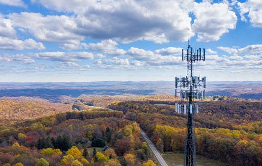 States Should Keep Broadband Internet Services Free From Price Controls